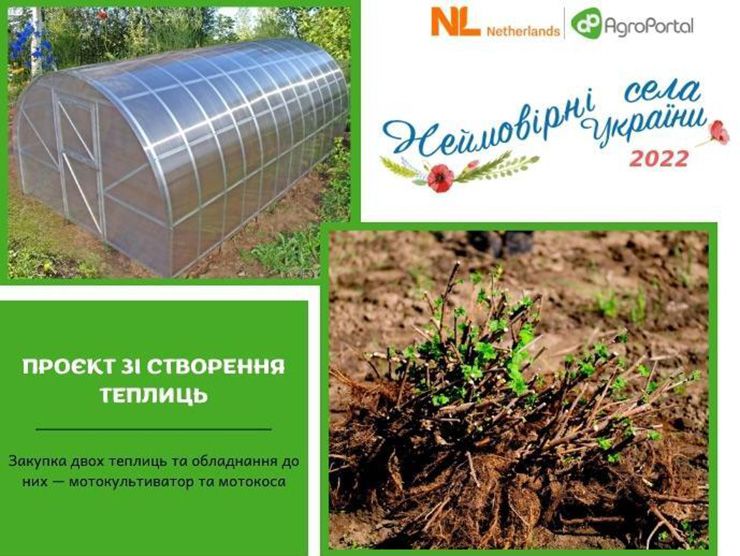 Западинці змагаються за мрію і сто тисяч гривень